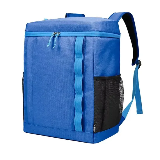 Professional Best Price of Insulated Leakproof Lunch Bag Electrician Camping Ice Chest Cooler Backpack 