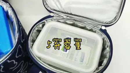 Factory Freezable Insulated Zip Closure Foldable Shoulder Strap Tote Cooler Bag 